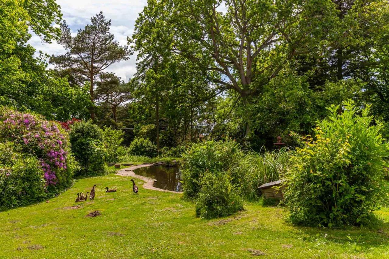 The Eiders - Norfolk Holiday Properties Aylmerton Exterior foto